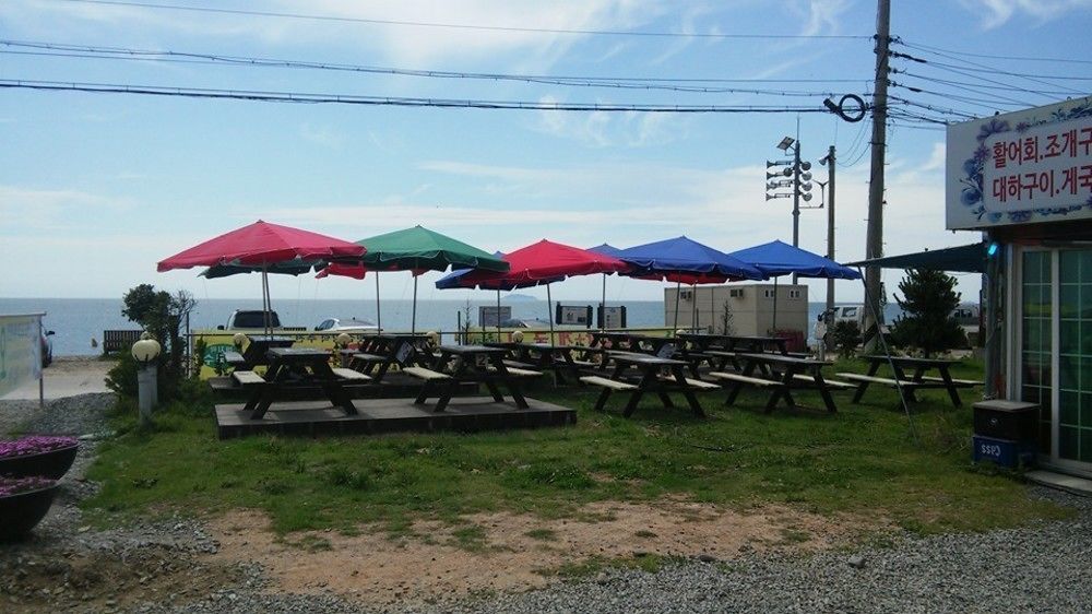 Ocean Beach Hotel 태안 외부 사진