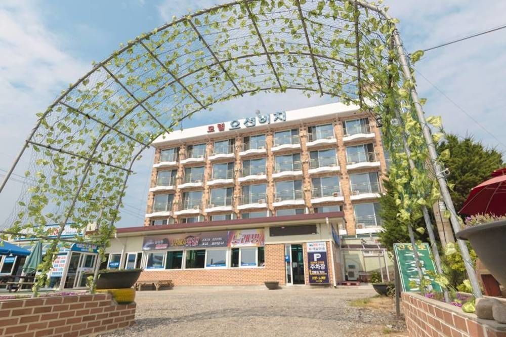 Ocean Beach Hotel 태안 외부 사진