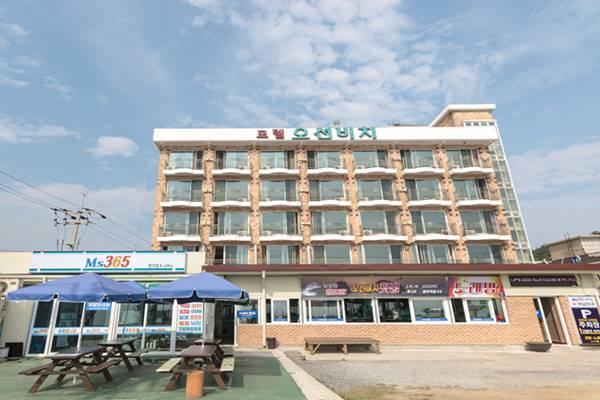 Ocean Beach Hotel 태안 외부 사진