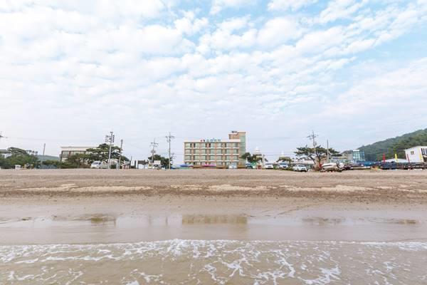 Ocean Beach Hotel 태안 외부 사진