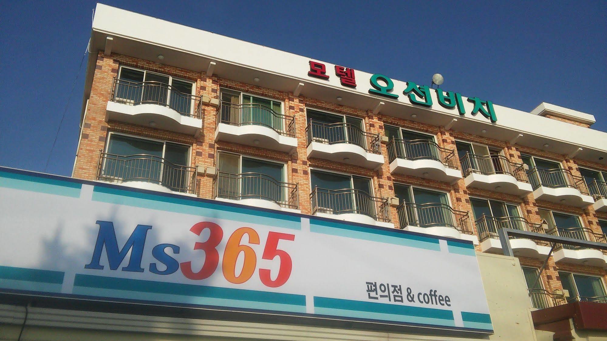 Ocean Beach Hotel 태안 외부 사진