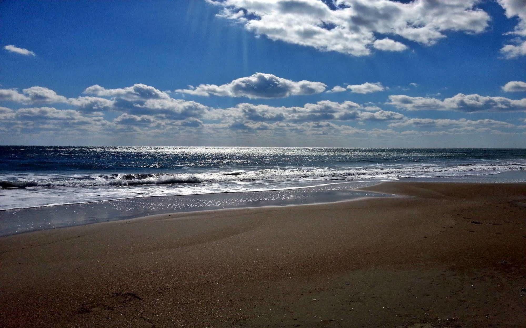 Ocean Beach Hotel 태안 외부 사진