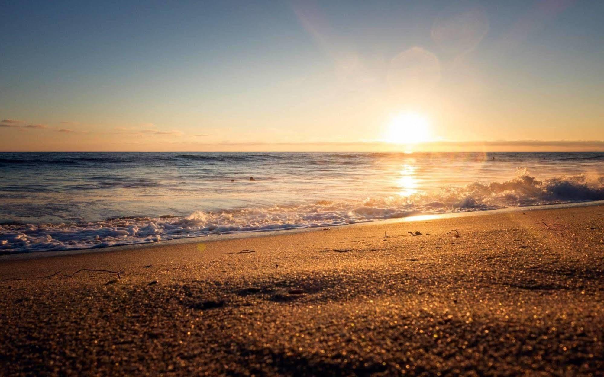 Ocean Beach Hotel 태안 외부 사진