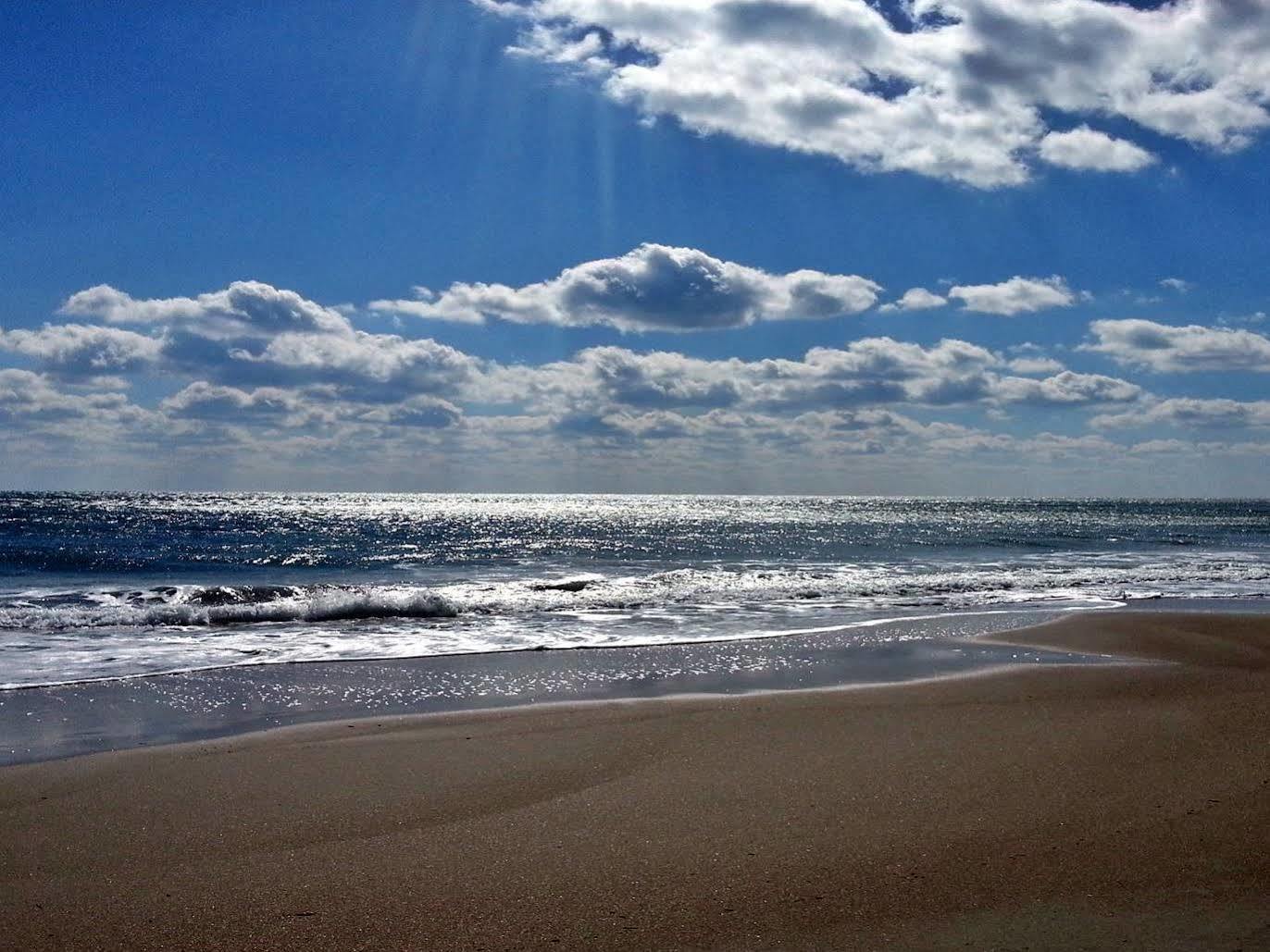 Ocean Beach Hotel 태안 외부 사진