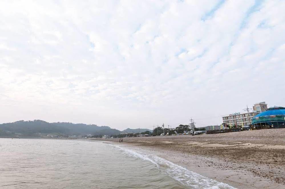 Ocean Beach Hotel 태안 외부 사진